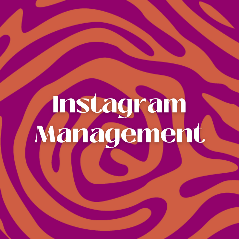 Instagram Management